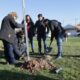 empleados municipales plantan un árbol en un paque de la ciudad de Neuquén.