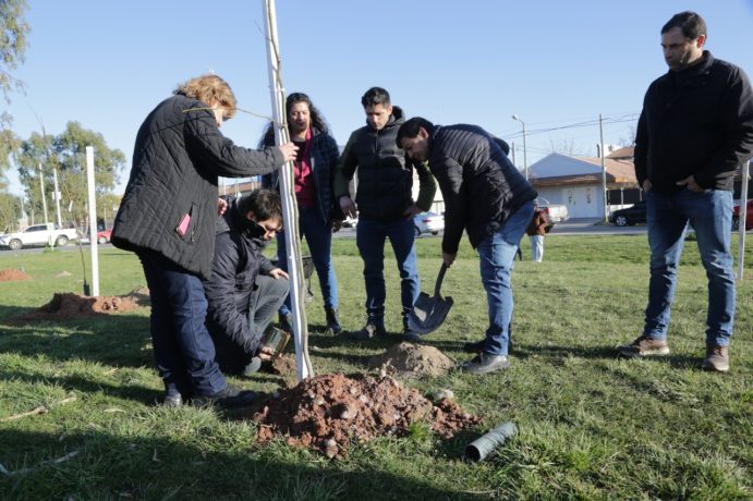 empleados municipales plantan un árbol en un paque de la ciudad de Neuquén.