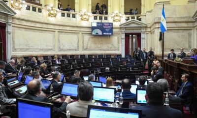 El recinto de la cámara alta, a medio llenar por la ausencia del inerbloque de Juntos por el Cambio.