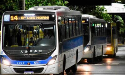 Unidad de transporte de colectivos de Neuquén Capital.