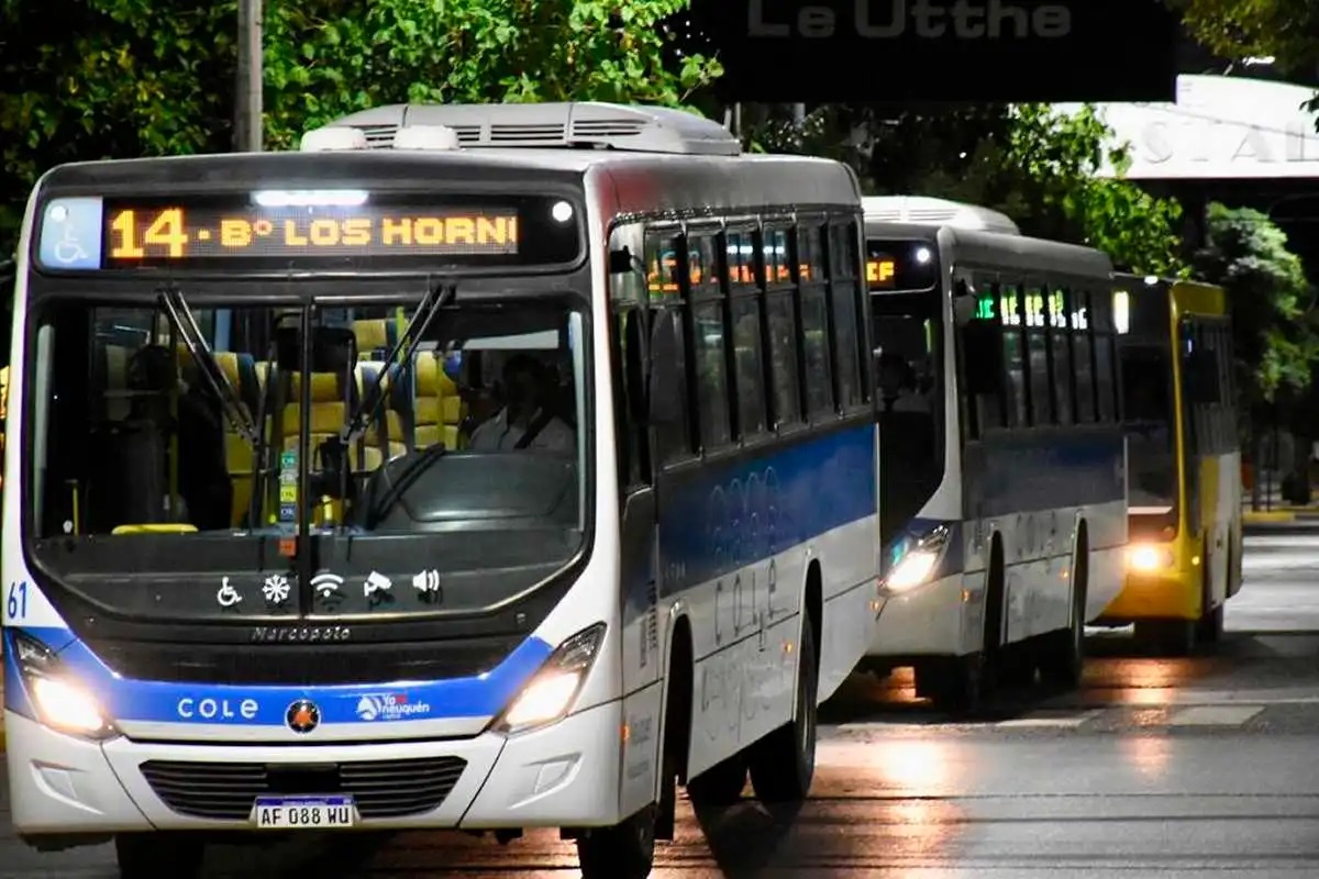 Unidad de transporte de colectivos de Neuquén Capital.
