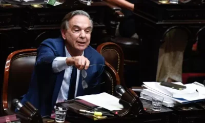 Ficha Limpia Pichetto