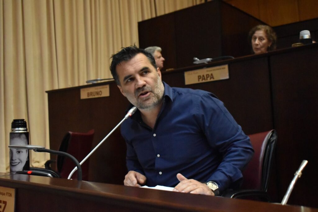 El diputado provincial Darío Martínez, durante uno de sus intervenciones en el recinto de la Cámara de Diputados.