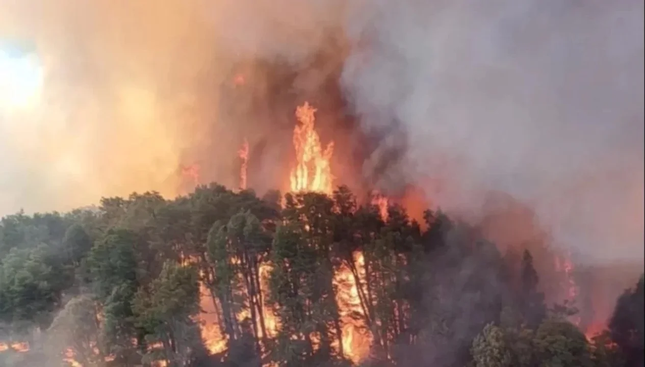 Nahuel Huapi incendios