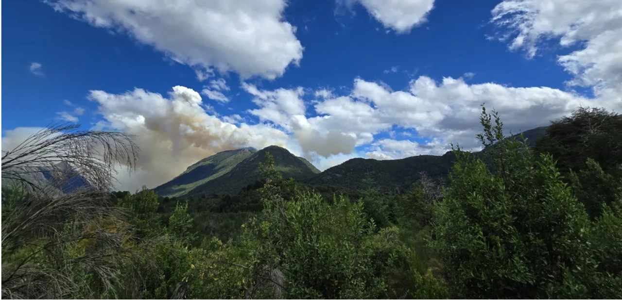 Incendio Los Manzanos