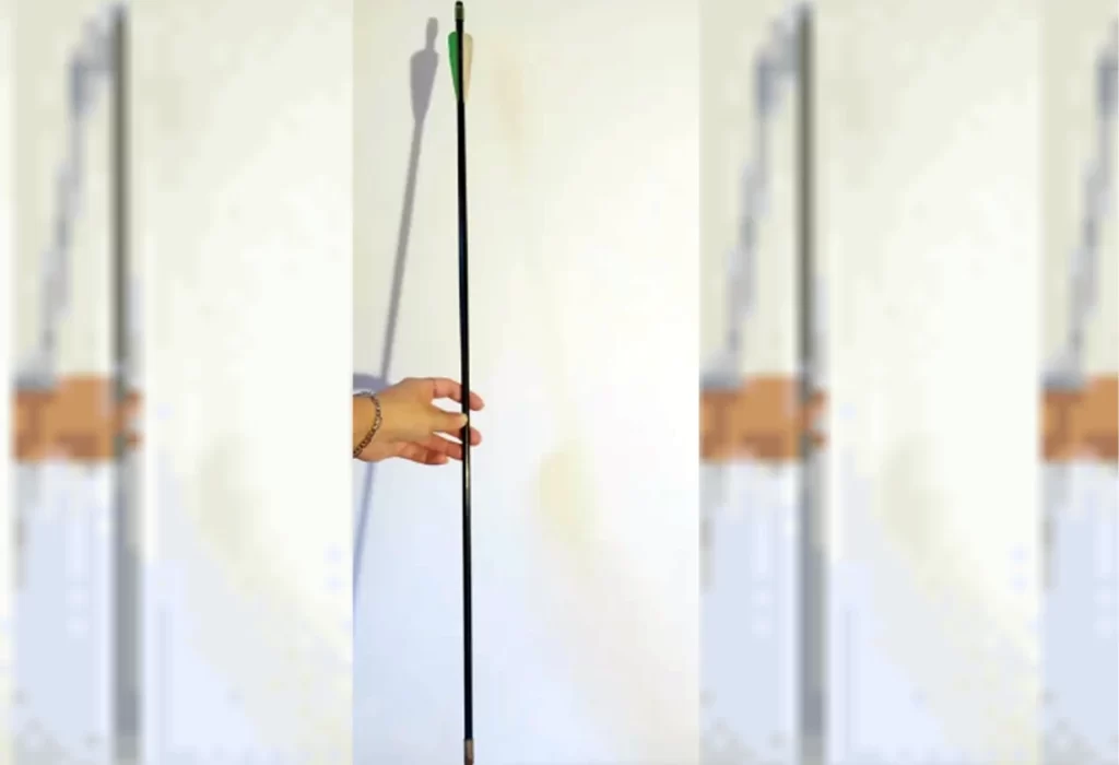 Flecha Plottier
