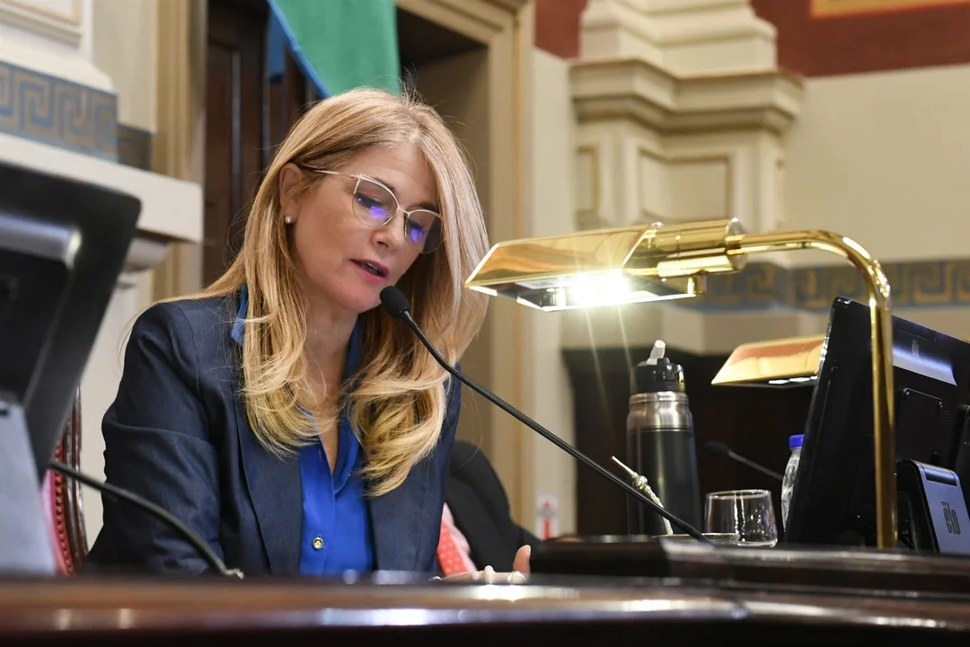 Reelección indefinida Magario