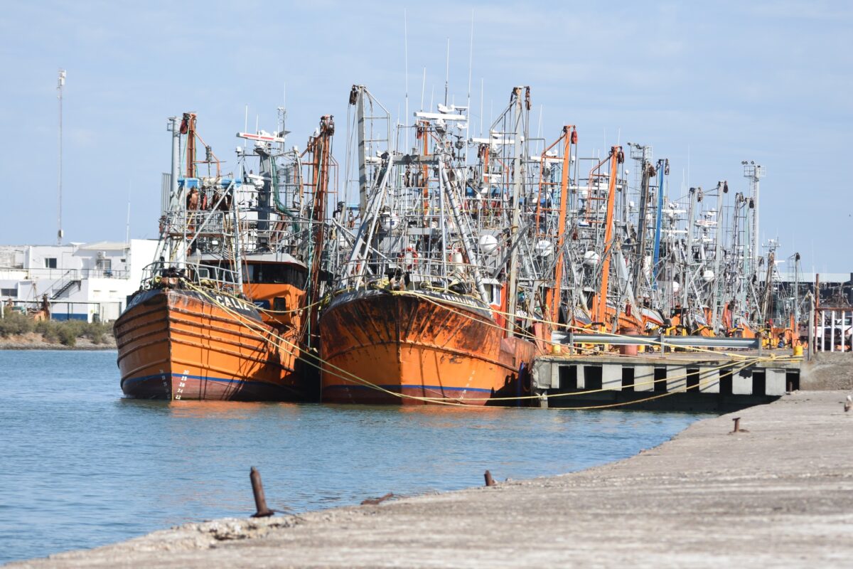 Chubut gremios marítimos