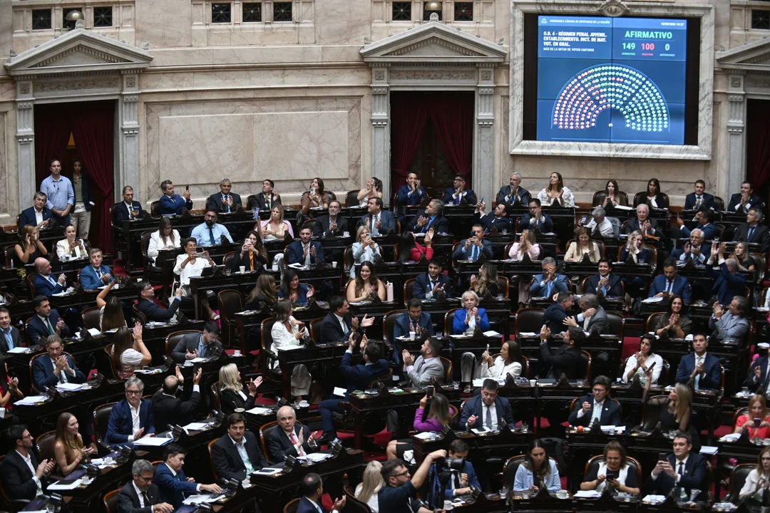 Diputados Imputabilidad