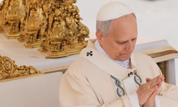 Papa León