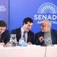 Juez Pesino Senado