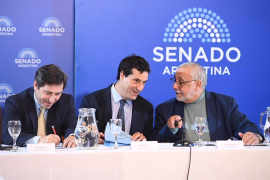 Juez Pesino Senado