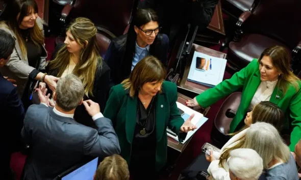Senado