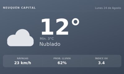 Clima en Neuquén Capital del Lunes 24 de Agosto: máxima de 11.7°C y cielo nublado
