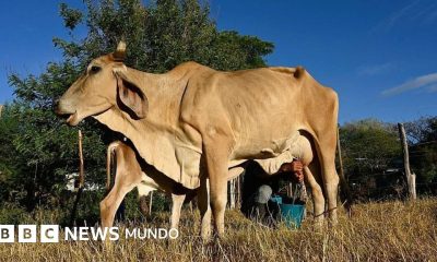 El Niño causa crisis alimentaria en Corredor Seco centroamericano