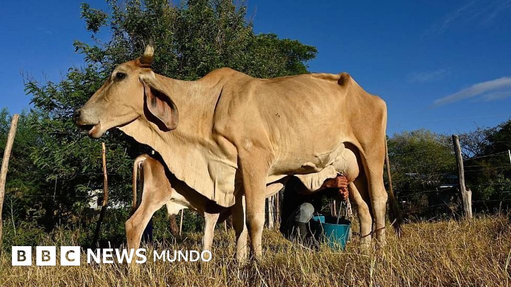El Niño causa crisis alimentaria en Corredor Seco centroamericano