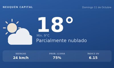 Clima en Neuquén Capital del Domingo 11 de Octubre: máxima de 17.6°C y cielo variable